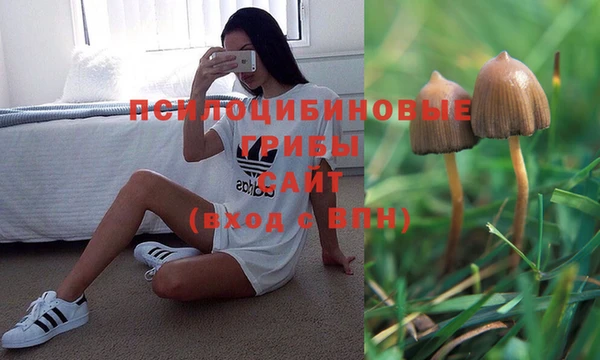Альфа ПВП Белоозёрский