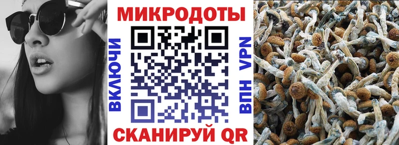 Псилоцибиновые грибы мицелий  МЕГА зеркало  Бородино 