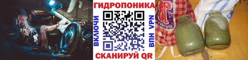 Марихуана гибрид Бородино